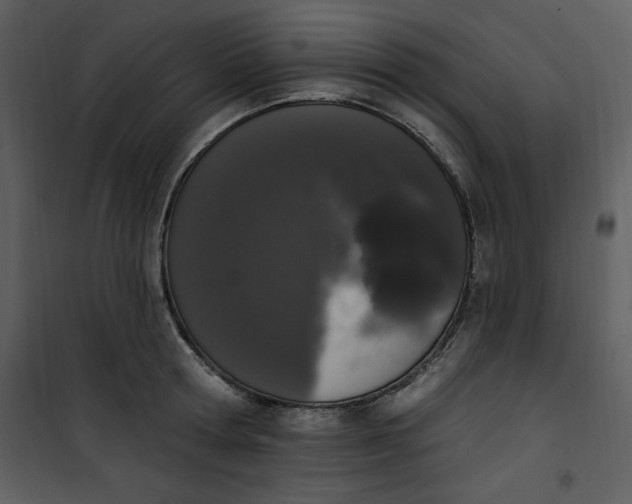 X0000101230802200807181601