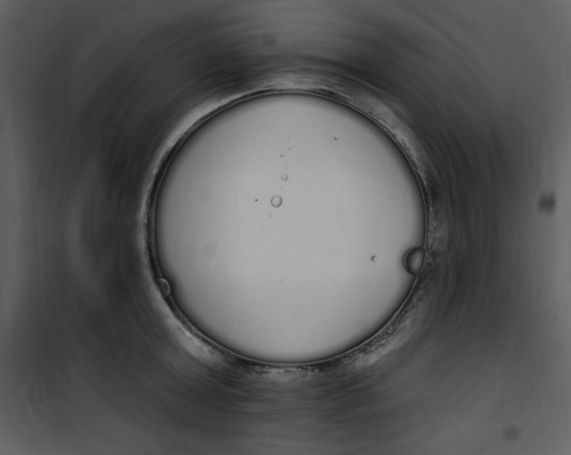 X0000101230803200807181601