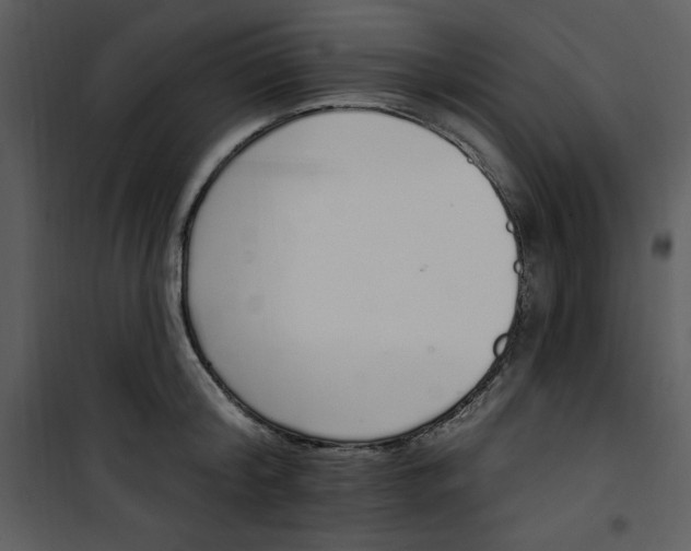 X0000101230804200807181601