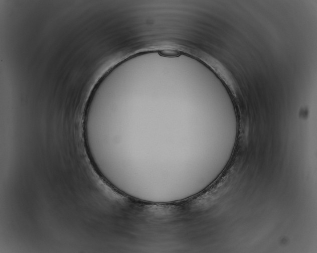 X0000101230805200807181601