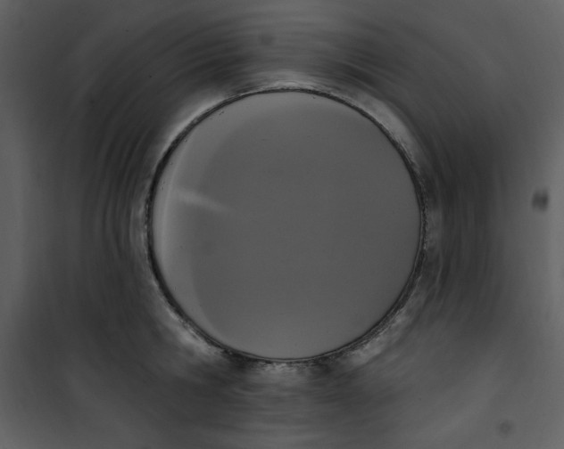 X0000101230806200807181601