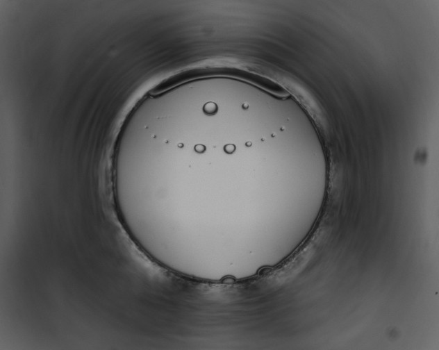 X0000101230808200807181601