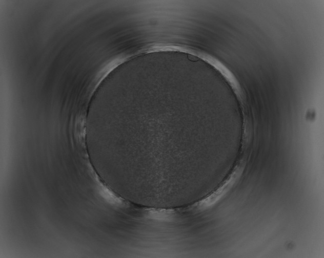 X0000101230809200807181601