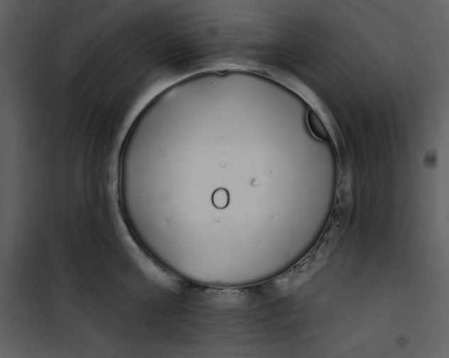 X0000101230811200807181601