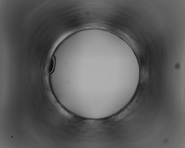 X0000101230812200807181601