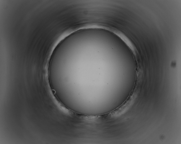 X0000101230813200807181601