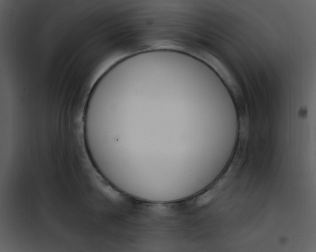 X0000101230814200807181601