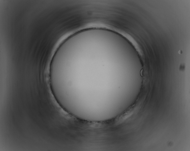 X0000101230815200807181601