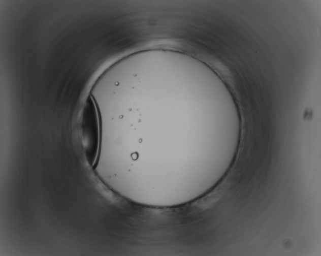 X0000101230816200807181601