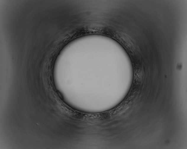 X0000101230817200807181601