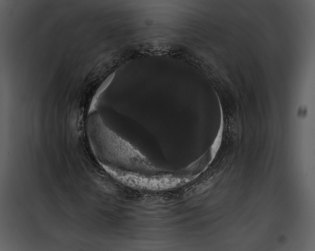 X0000101230818200807181601