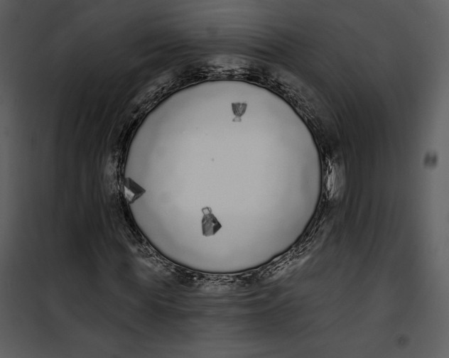 X0000101230819200807181601