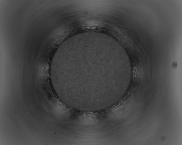 X0000101230820200807181601