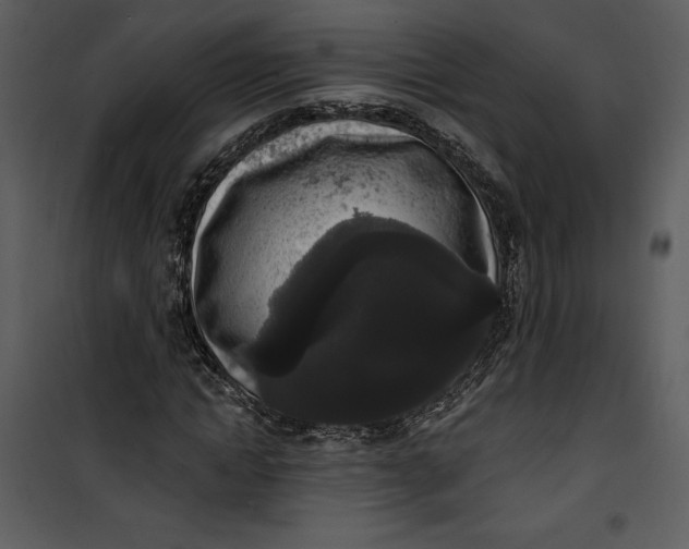 X0000101230822200807181601