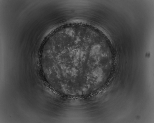 X0000101230823200807181601