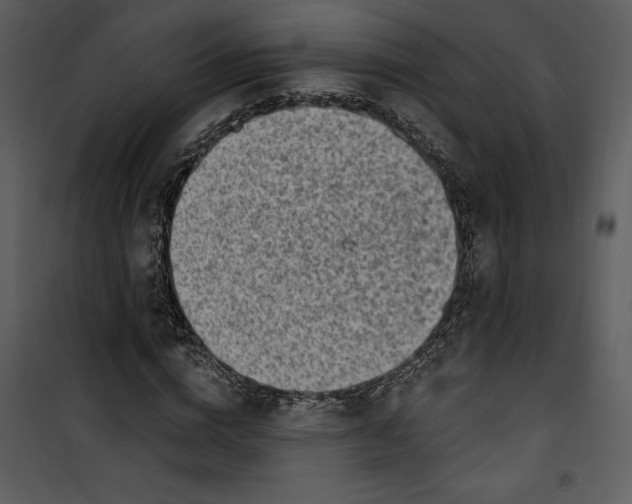 X0000101230824200807181601