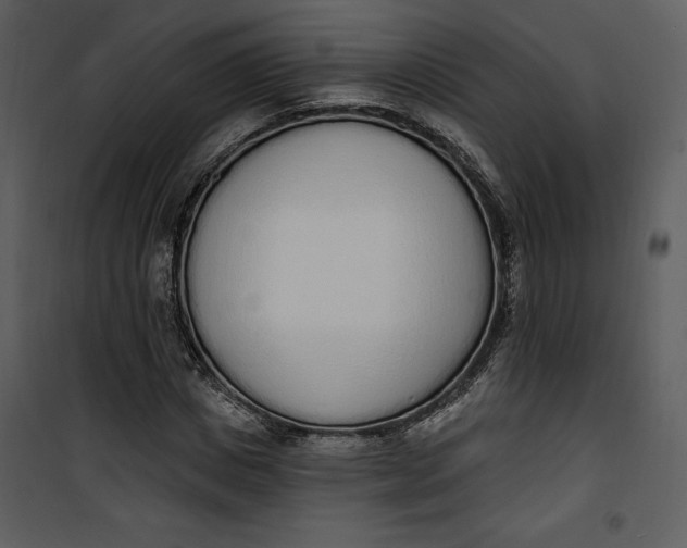 X0000101230825200807181601