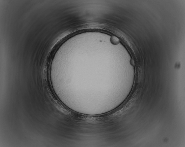 X0000101230827200807181601