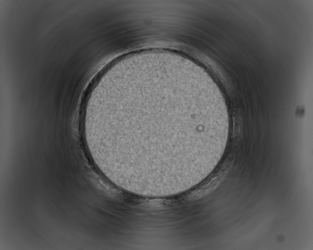 X0000101230828200807181601