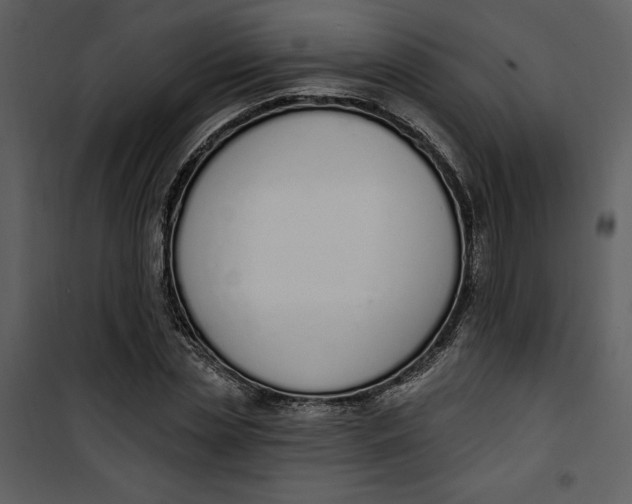 X0000101230829200807181601