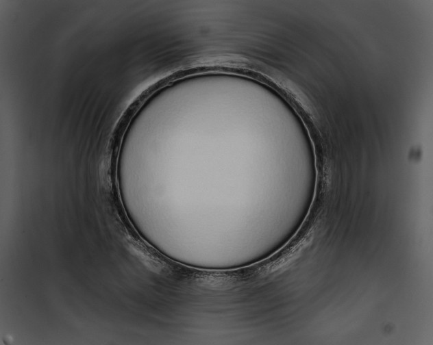 X0000101230830200807181601