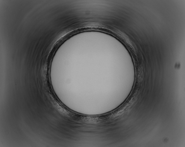 X0000101230831200807181601