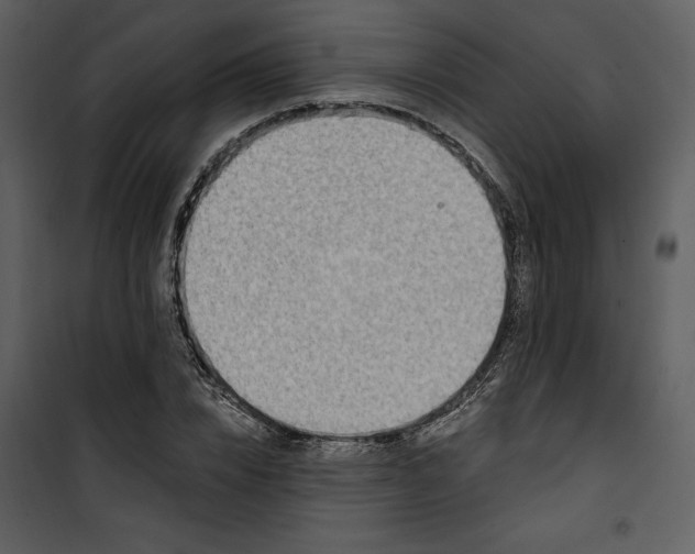 X0000101230832200807181601