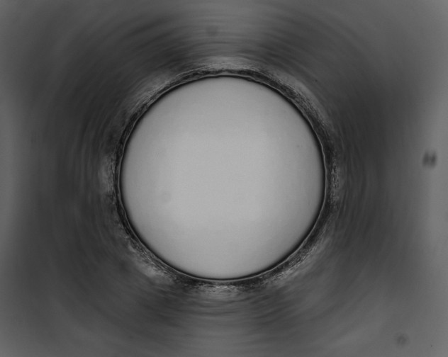 X0000101230833200807181601