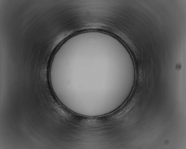 X0000101230834200807181601