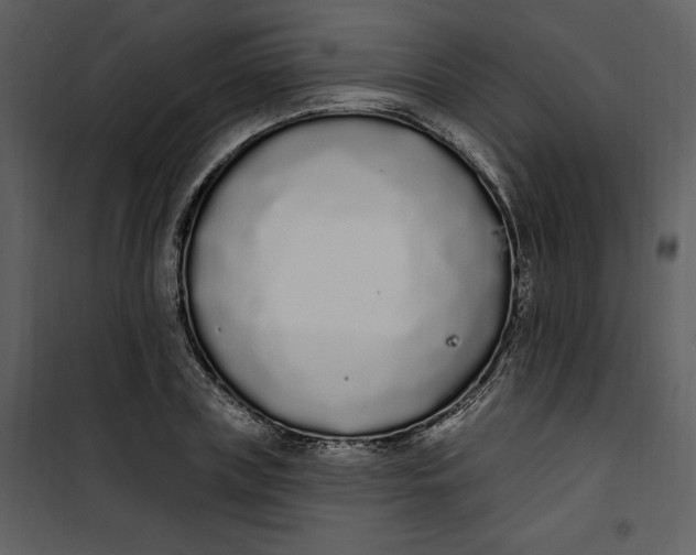 X0000101230835200807181601