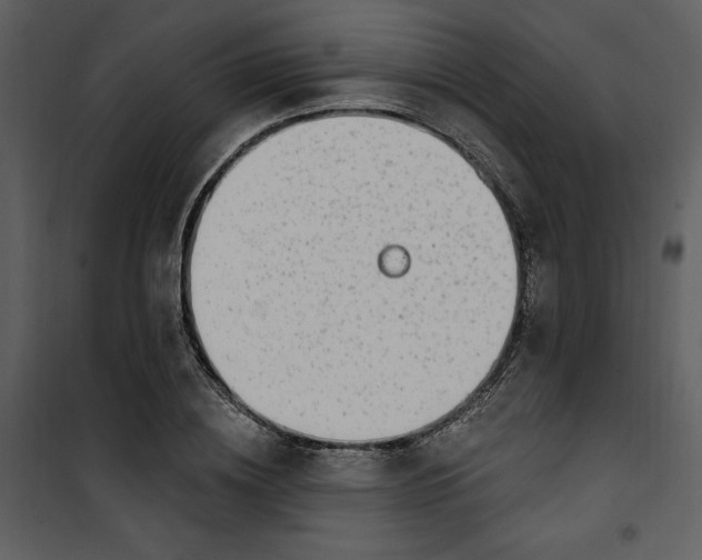 X0000101230836200807181601