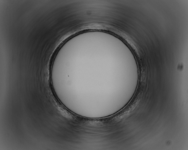 X0000101230837200807181601