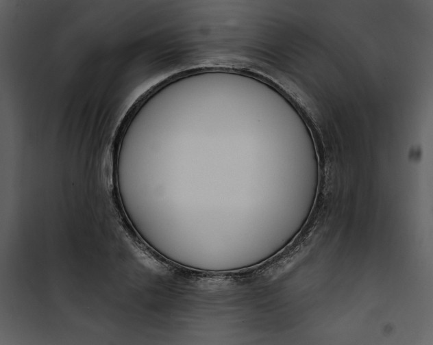 X0000101230838200807181601