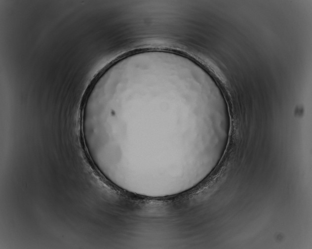 X0000101230839200807181601