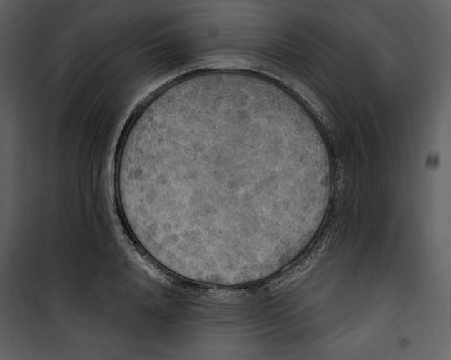 X0000101230840200807181601