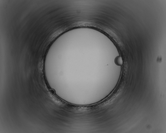 X0000101230841200807181601