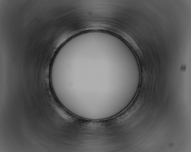 X0000101230842200807181601