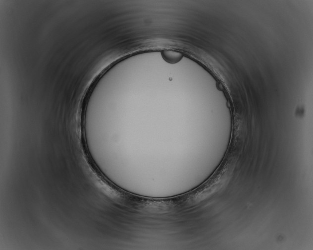 X0000101230843200807181601