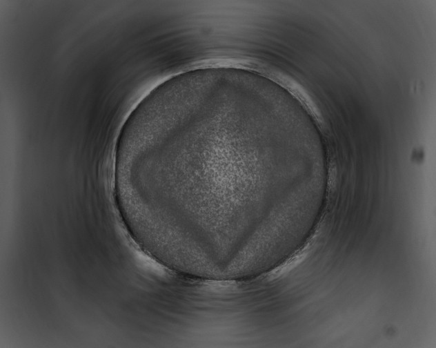 X0000101230844200807181601