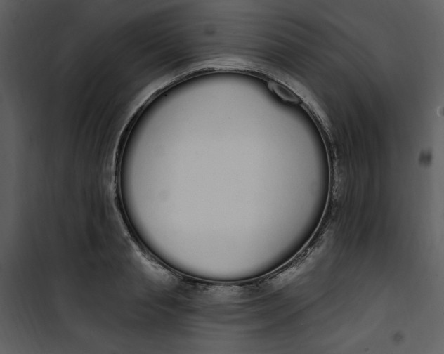 X0000101230845200807181601