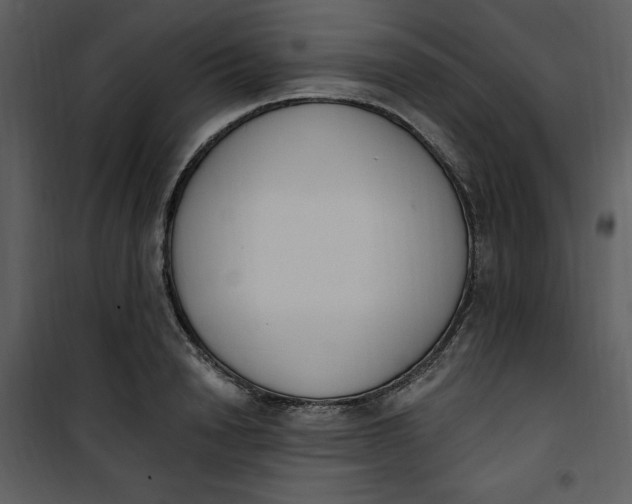 X0000101230846200807181601