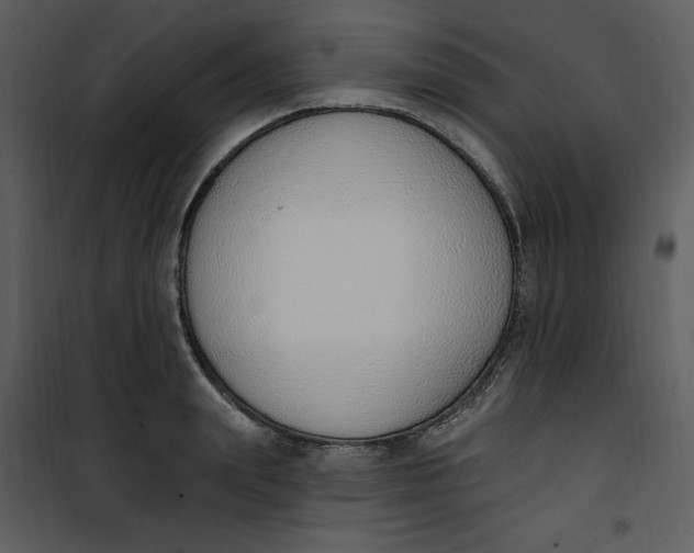 X0000101230847200807181601