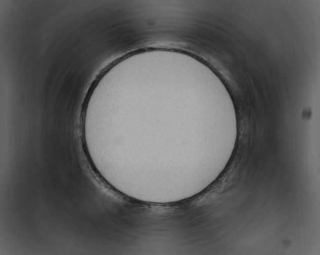 X0000101230848200807181601