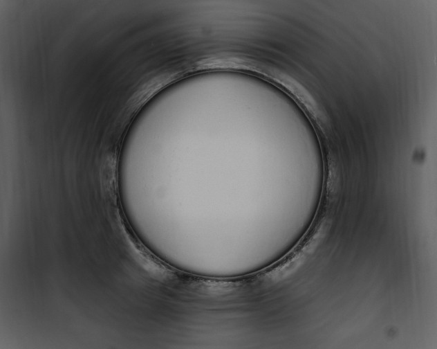 X0000101230849200807181601