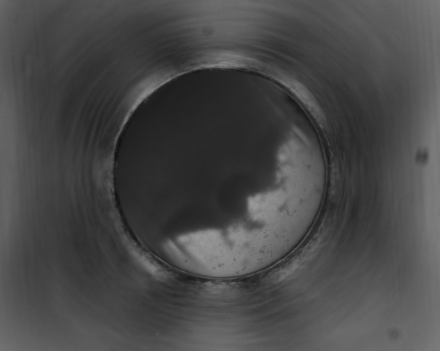 X0000101230850200807181601