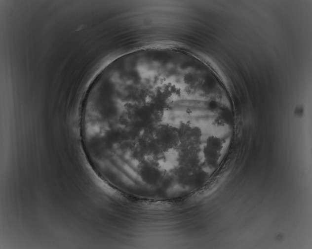 X0000101230851200807181601