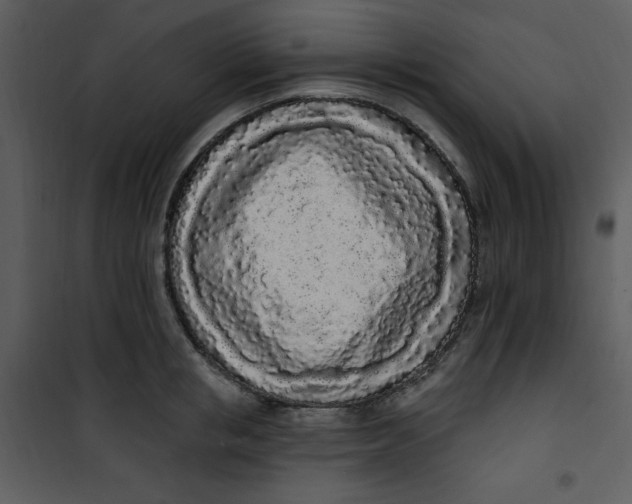 X0000101230853200807181601