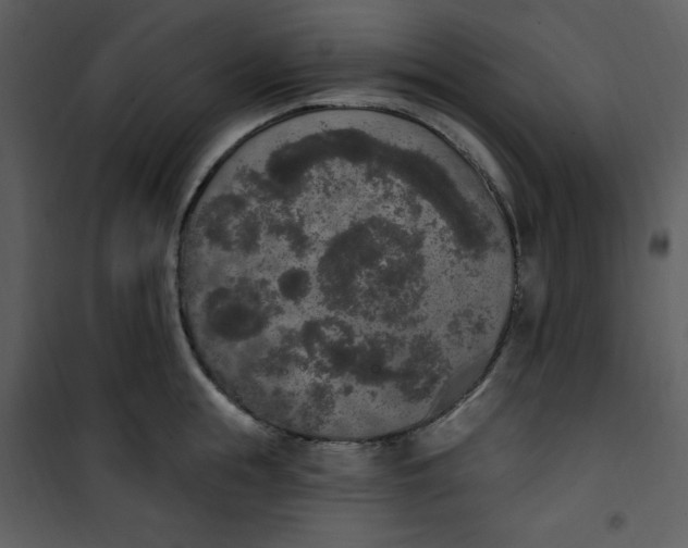 X0000101230855200807181601