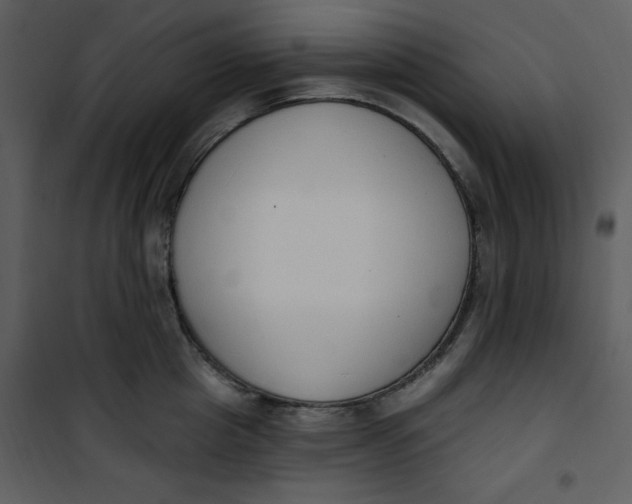 X0000101230857200807181601