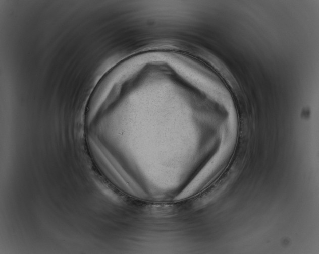 X0000101230858200807181601